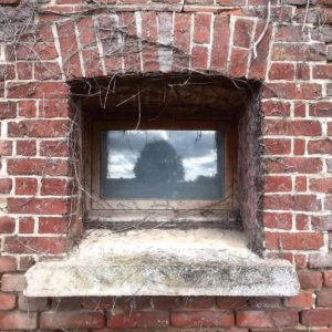 1000 Yeux Ouverts - #4 (22x22cm)