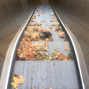 1000 Yeux Ouverts - #6 (22x22cm)