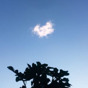 1000 Yeux Ouverts - #42 (22x22cm)