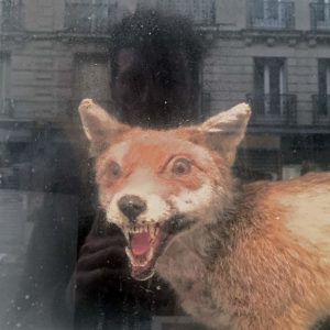 1000 Yeux Ouverts - #35 (22x22cm)