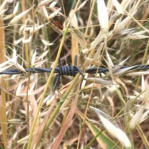 1000 Yeux Ouverts - #36 (22x22cm)