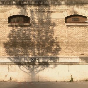 1000 Yeux Ouverts - #38 (22x22cm)