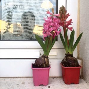 1000 Yeux Ouverts - #16 (15x15cm)